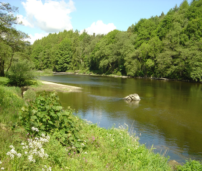 Pwll-y-Faedda Long Pool 2